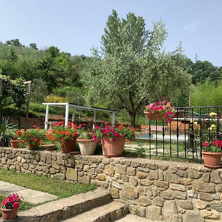 Guest House Torre Guelfa, Vinsantaia Figline Valdarno Dış mekan fotoğraf